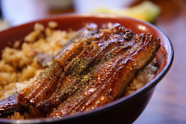 静岡で鰻を食べるならここ！テリヤキ編集部が推薦する静岡最強鰻飯３選！