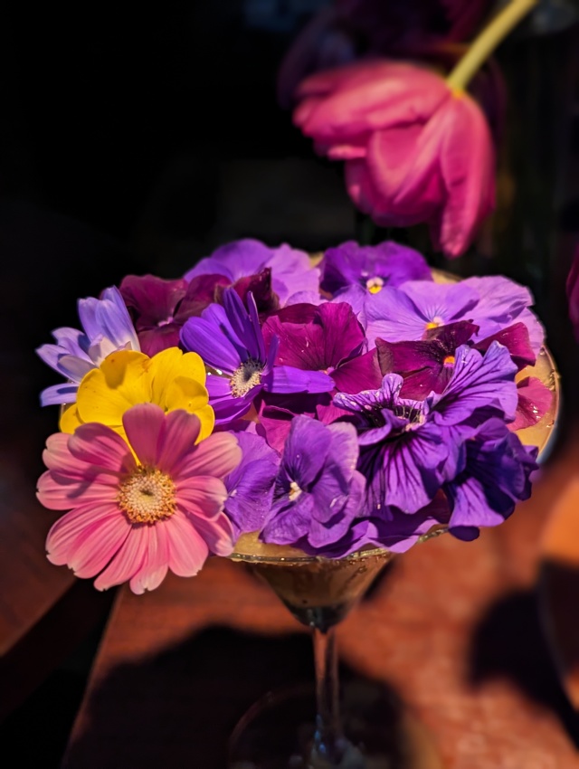 彩豊かなフルーツカクテルが楽しめる六本木の幻想的空間 - Bar StarMan(バースターマン) - 東京都 | TERIYAKI [テリヤキ]