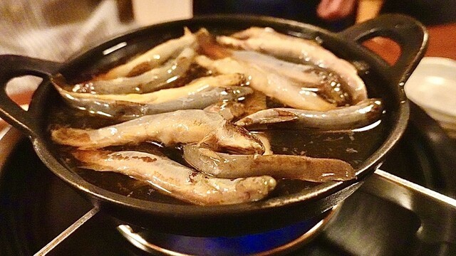 どじょうをなめるなよ？