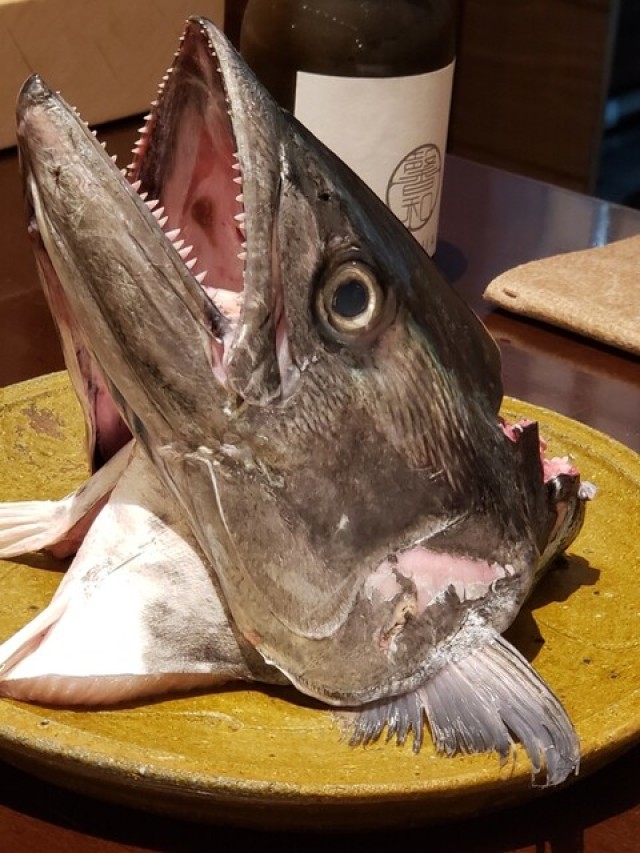酢飯ももちろん、魚が素晴らしい